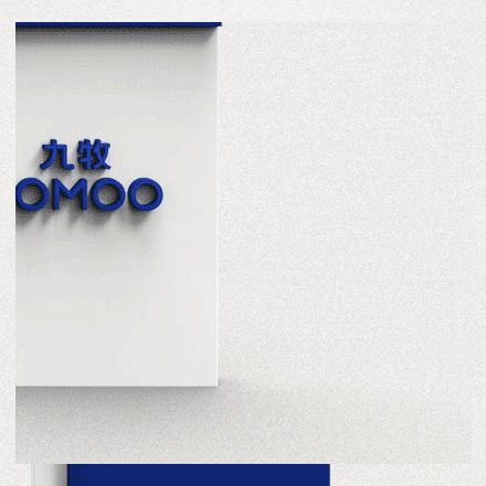 鉆石項鏈品牌vi設計公司案例作品