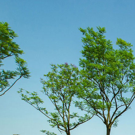 上海VI設(shè)計公司作品案例展示